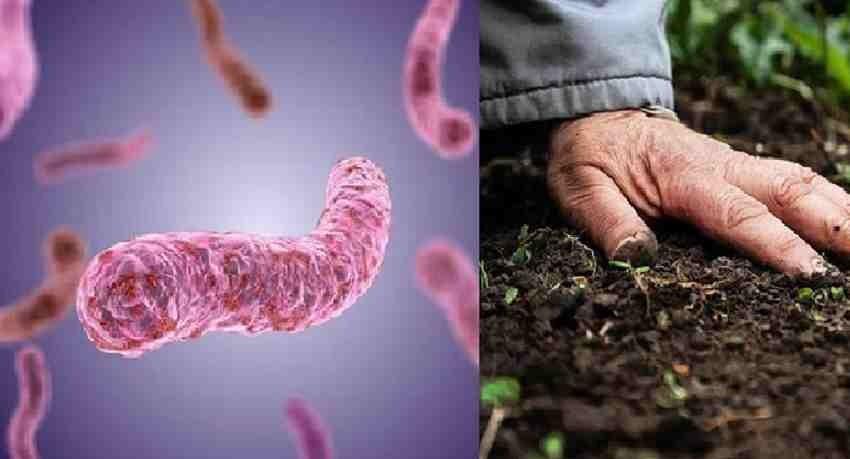 Melioidosis spreading in Sri Lanka, warns SLMA